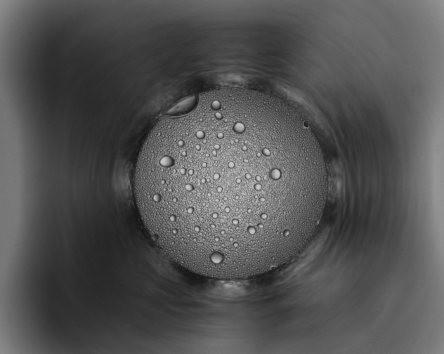 X0000094360573200711162053