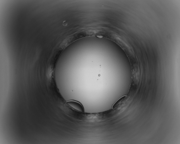 X0000094360574200711162053