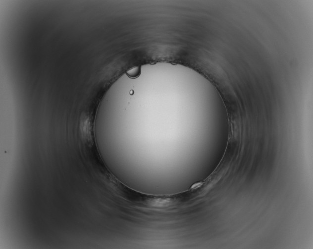 X0000094360575200711162053