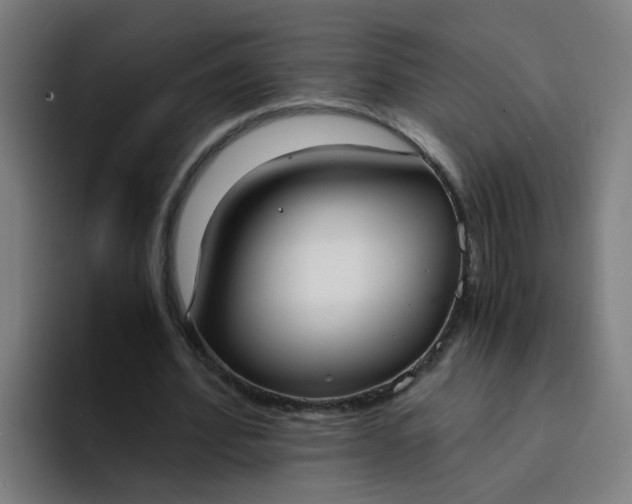 X0000094360580200711162052