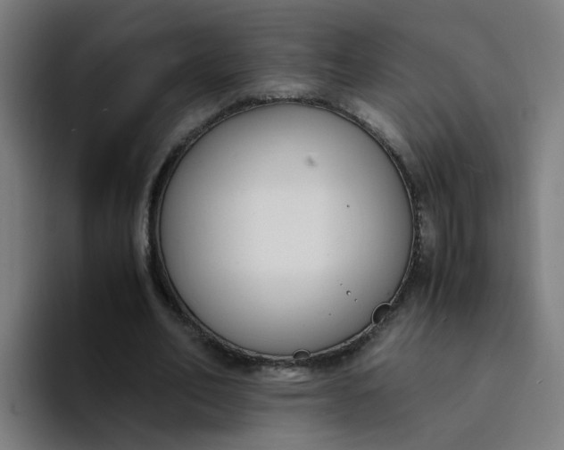 X0000094360582200711162052