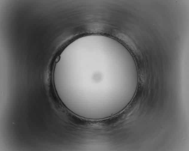 X0000094360583200711162052