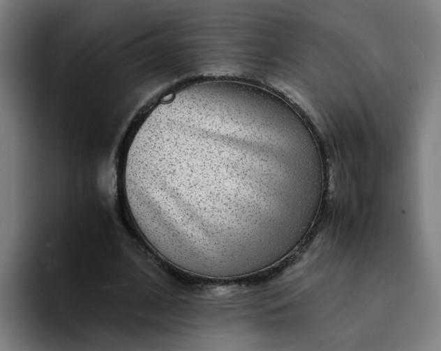 X0000094360584200711162052