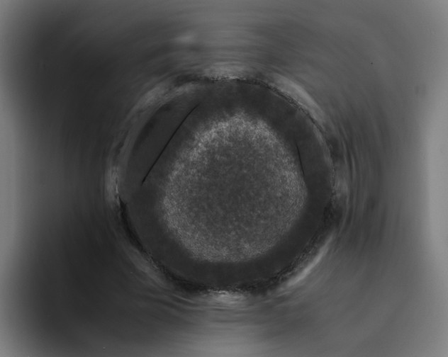 X0000094360585200711162052