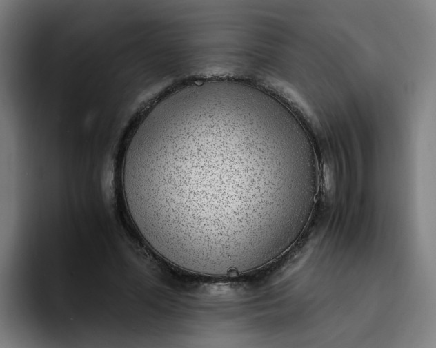 X0000094360588200711162052