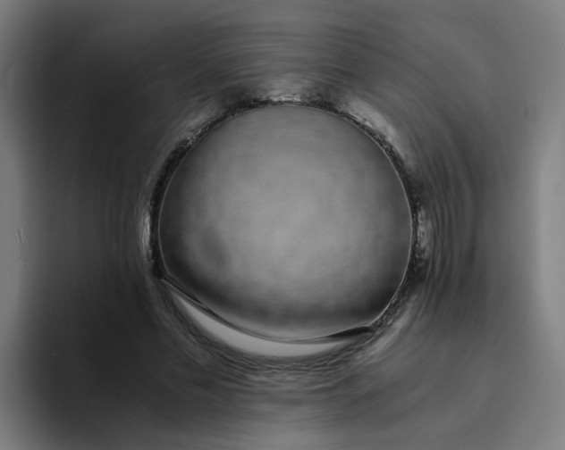 X0000094360589200711162052