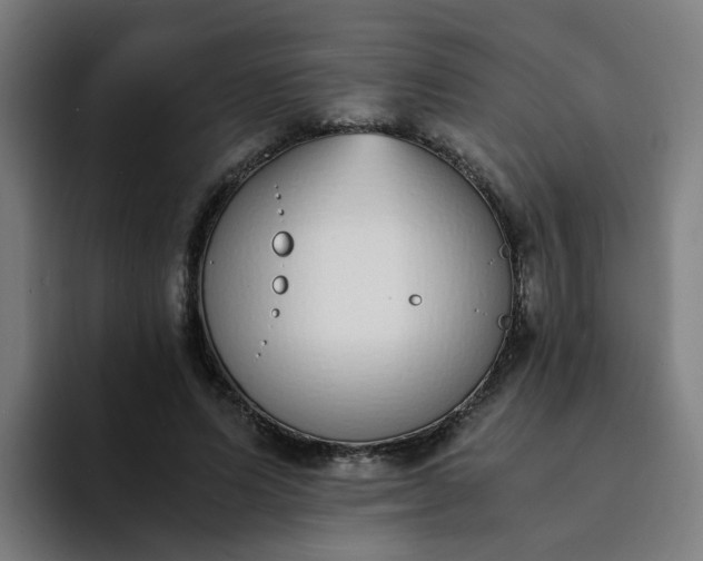 X0000094360591200711162052