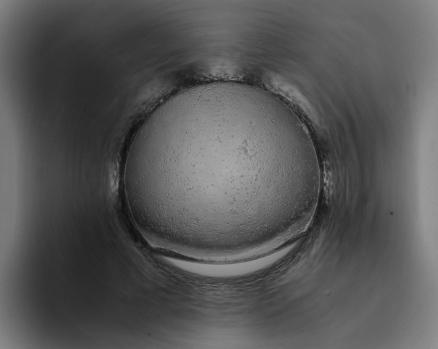 X0000094360593200711162052