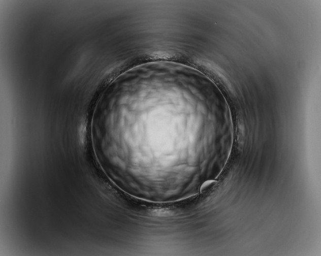 X0000094360596200711162052