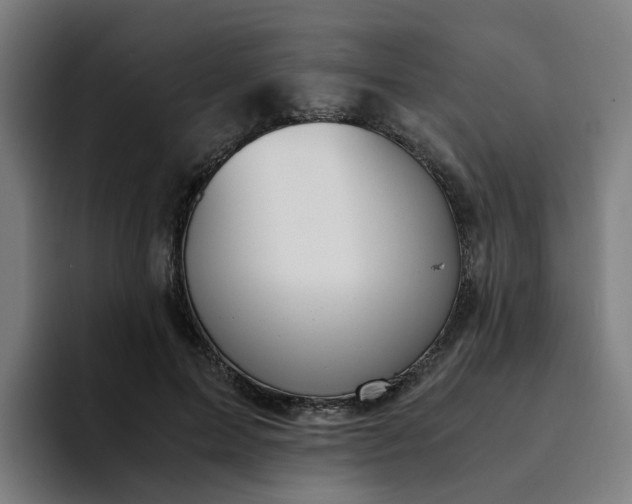 X0000094360599200711162052