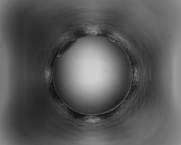 X0000094360601200711162052