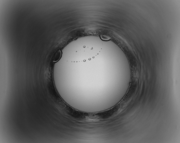 X0000094360603200711162052