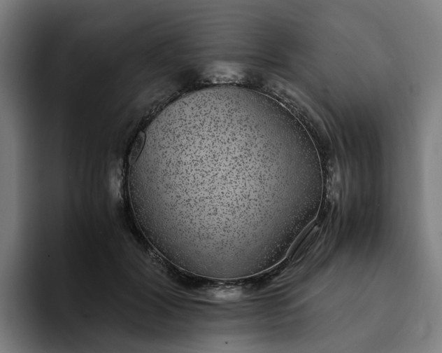 X0000094360604200711162052