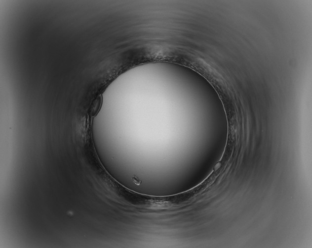 X0000094360605200711162052