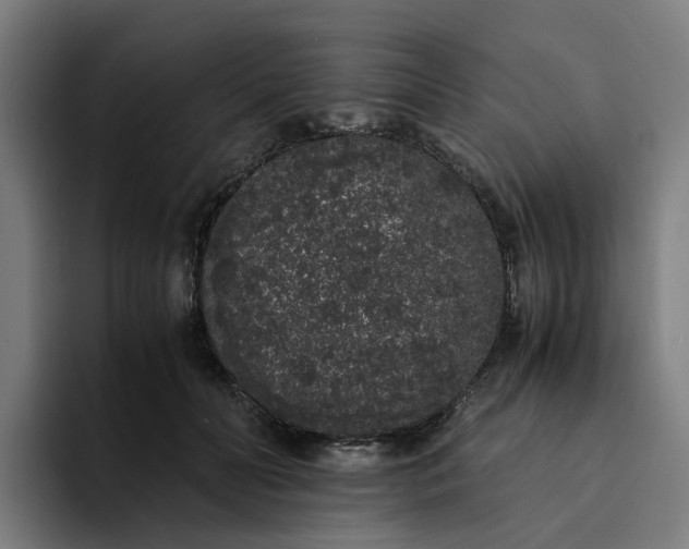 X0000094360606200711162052