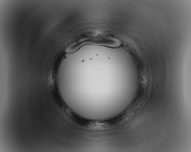 X0000094360607200711162052