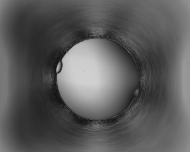 X0000094360608200711162052