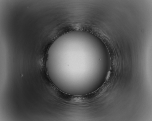 X0000094360611200711162052