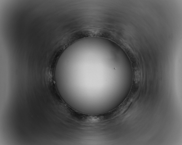 X0000094360613200711162052