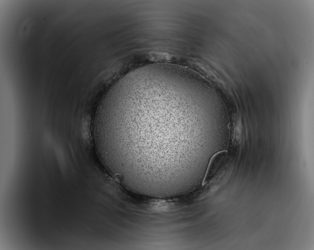 X0000094360616200711162052