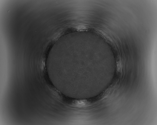 X0000094360618200711162051