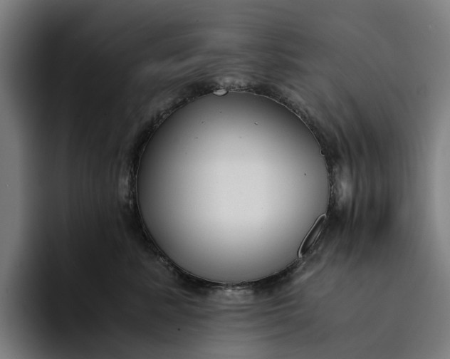 X0000094360619200711162051