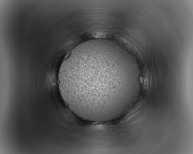 X0000094360620200711162051