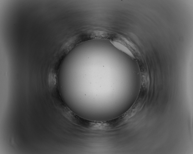 X0000094360621200711162051