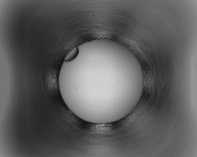 X0000094360622200711162051