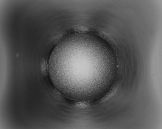 X0000094360624200711162051