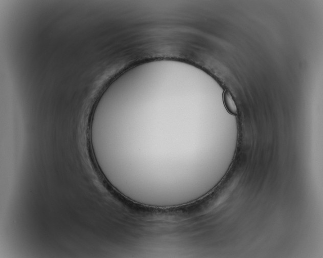 X0000094360625200711162051