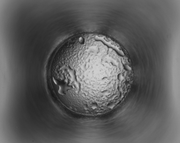 X0000094360626200711162051