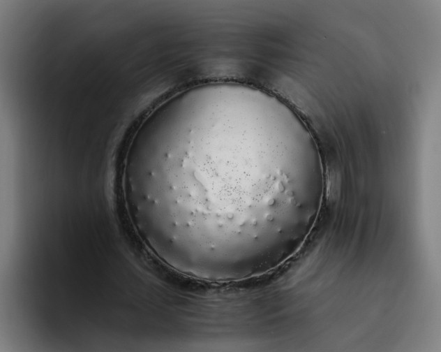 X0000094360627200711162051