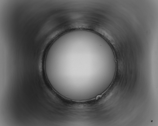 X0000094360629200711162051