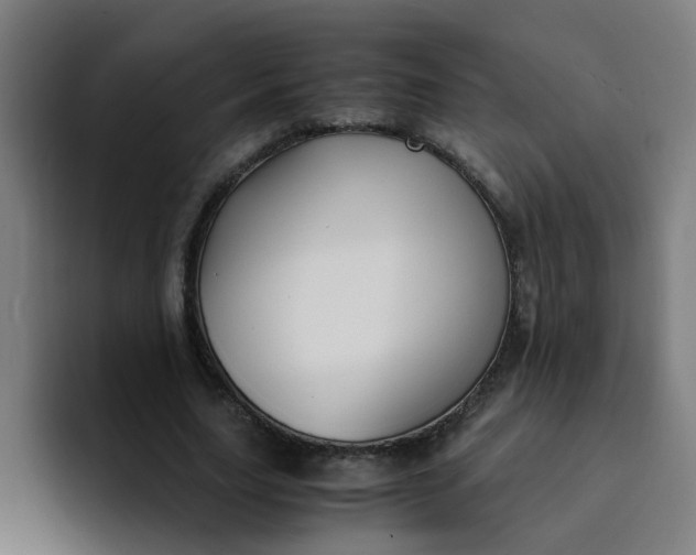 X0000094360631200711162051