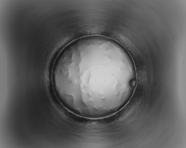 X0000094360634200711162051