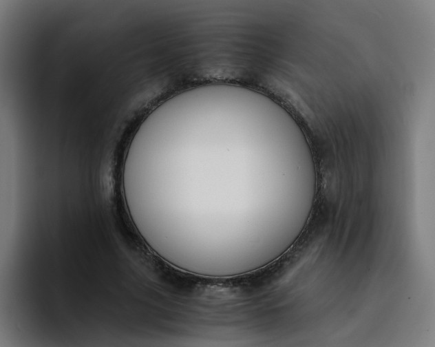 X0000094360635200711162051