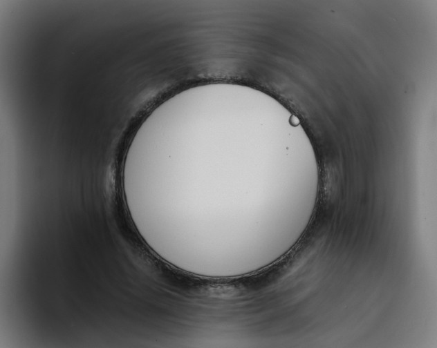 X0000094360636200711162051