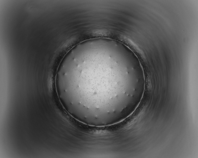 X0000094360637200711162051