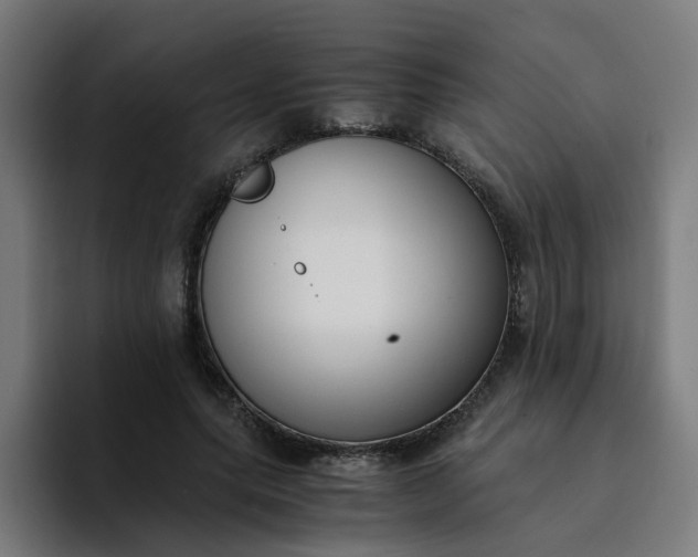 X0000094360639200711162051