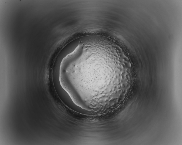 X0000094360640200711162051