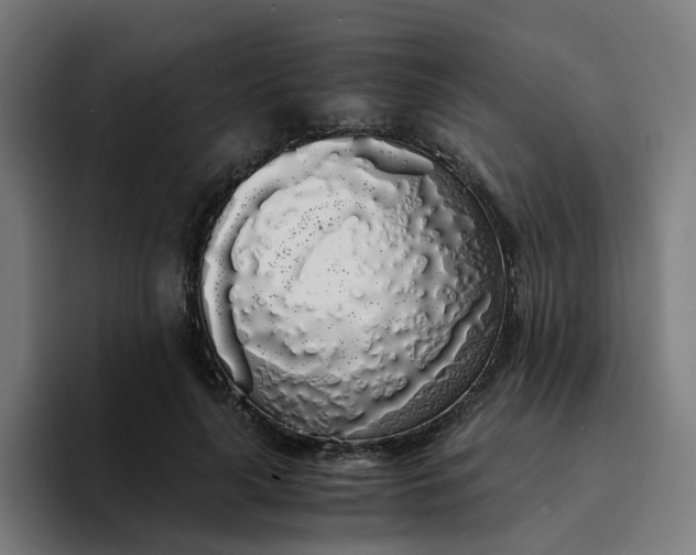 X0000094360643200711162051