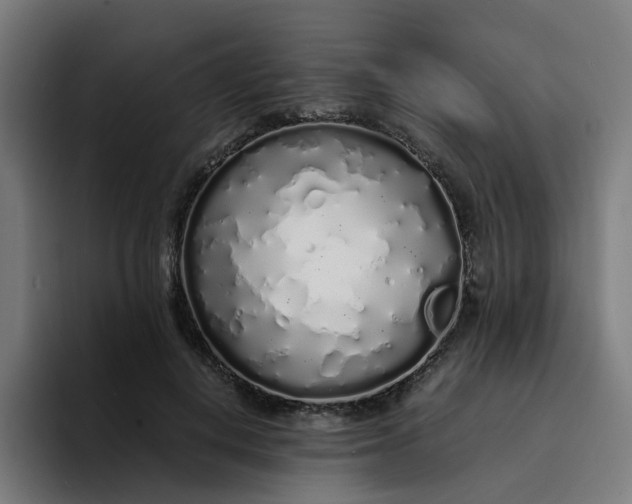 X0000094360648200711162051