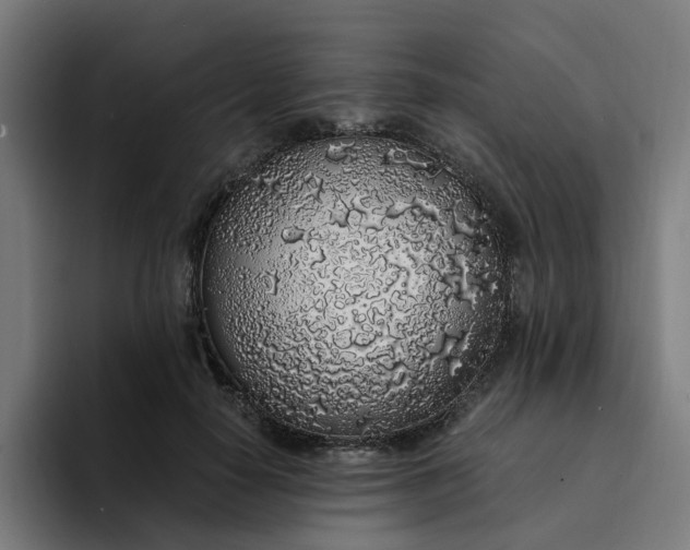 X0000094360650200711162051