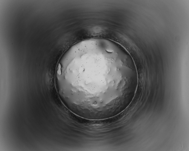 X0000094360653200711162051