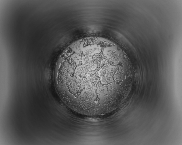 X0000094360654200711162051