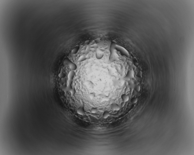 X0000094360658200711162051