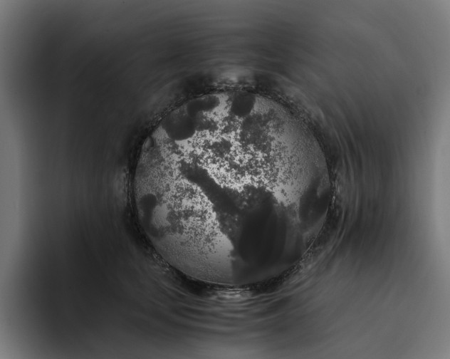 X0000094360659200711162051