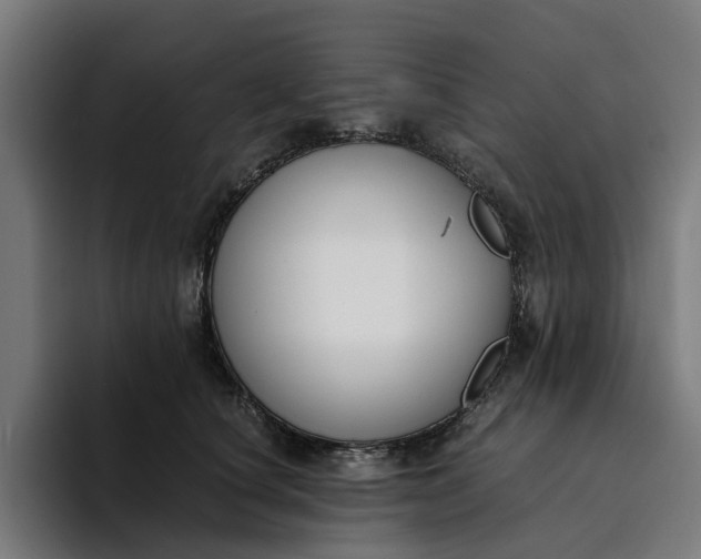 X0000094360660200711162051