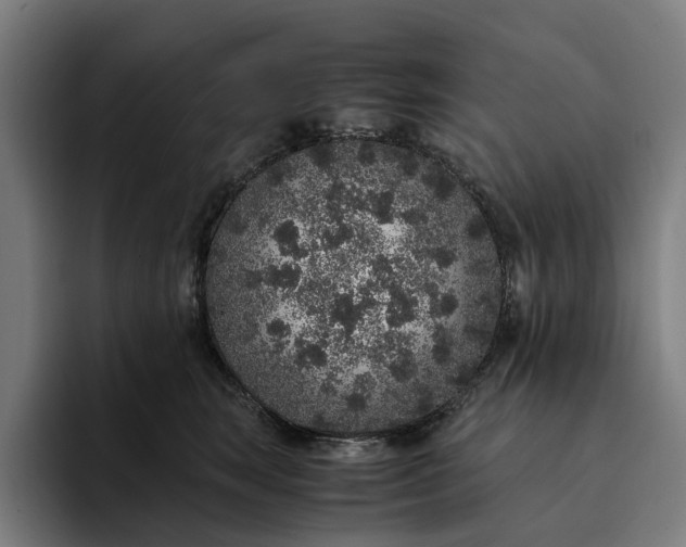 X0000094360663200711162051